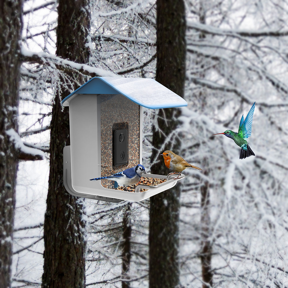 STLFNew Trend Smart Bird Feede - Solar Panel review and price